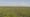 Saving Historic Kansas Prairie Grasslands