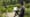 Van Vleck House & Gardens - Montclair, NJ
