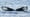 Mystery of the Humpback Whale Song