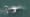 Concrete Canoe Races, Rodeo Photographer, Oregon’s Gray Whales