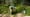 Durango forager finds food hiding in plain sight