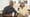 In the Kitchen with Mom - Cooking Memories with Alva Jean Chase