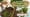 How Do Baby Bald Eagles Learn To Fly? | Wild Critters USA