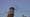 Vaux's Swift Chimneys