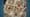 Appraisal: Baltimore Album Quilt, ca. 1850