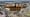 Swamp Buggy Fever! - :55sec Promo