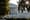 Supreme Court weighs climate liability for energy companies