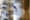 How the Associated Press tracks results on Election Night