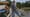 The Last Gullah Geechee Community on Sapelo Island | The Color Line Diaries