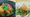 Garden Party