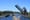 Seattle ‘mega-project’ balloons by an extra $147M