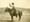 How the Confederacy shaped the American West and cowboy culture