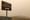 Washingtonians are more likely to die on smoky days, new UW research shows