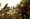 What 13,000 wildfires teach us about Washington forests