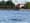 Rare beluga whale sighting in Puget Sound stirs excitement — and concern