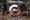 When you need to know the 'why': Crosscut