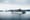 Sailing soon: an Orca-friendly, all-electric car ferry
