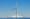 WA wind power farms may conflict with habitat preservation projects