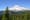 Flora, fauna and phones? Mt. Rainier approves cellphone service