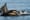 Brutal year sets back orca recovery