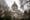 Why you should pay attention to the 2023 Washington Legislature