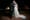 In WA’s history of interracial marriage, pride and prejudice