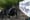 Another day, another clash over homeless encampments