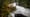 Fecal matter pollution in public water: The case of Snydar Farm