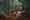 Pacific NW companies implicated in illegal rainforest logging
