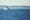 Slower ships: A saving grace for orcas?