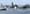 Oil tankers could doom Puget Sound's orcas
