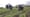 How WA farmers are safeguarding migrant workers