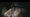 Viral Video: SIFF's bewitching, "Be Watching" trailer