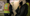 New push to get thousands of homeless employed
