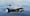 A new film argues Lower Snake dams make life worse for salmon, orcas and everyone in the PNW