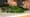 Made There: Chef Tad Mitsui finds harmony and home at Heyday Farm