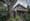 How COVID-19 hurt Seattle's plan to strengthen its tree laws
