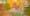 ArtSEA: Northwest art blooms abstract for the spring equinox