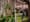 You might be responsible for a Seattle street tree and not know it