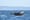From Big Mama to Hy’Shqa, how Northwest whales get their names