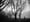 ArtSEA: 10 photo shows that bring light to Seattle’s dark days