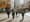 Harrell bill would let more business types set up shop Downtown
