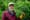 Should WA’s foresters harvest timber or sell it for carbon credits?