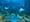 ArtSEA: Seattle Aquarium’s Ocean Pavilion opens with Native art