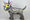 ArtSEA: The Pioneer Square gallery that’s gone to the dogs