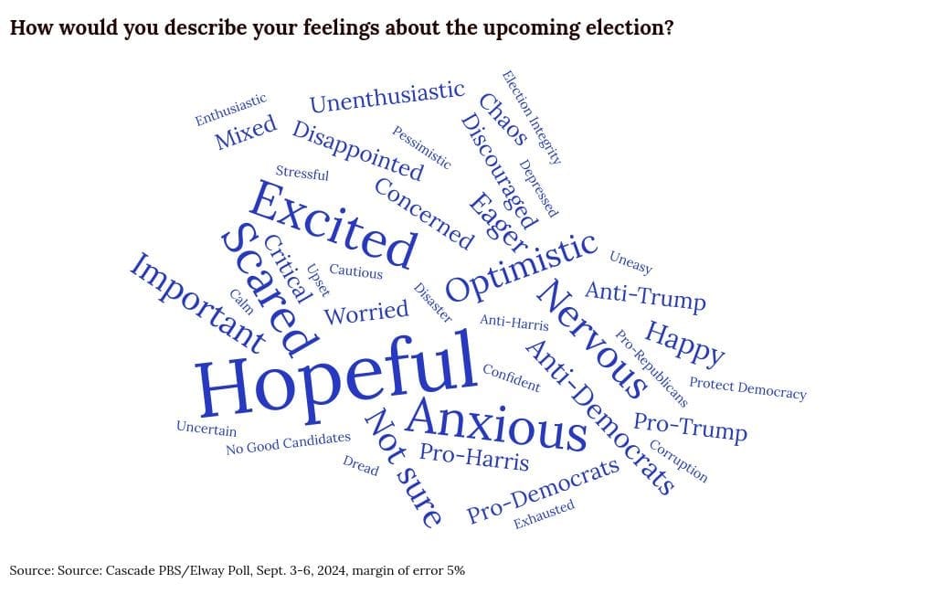 word-cloud visualization