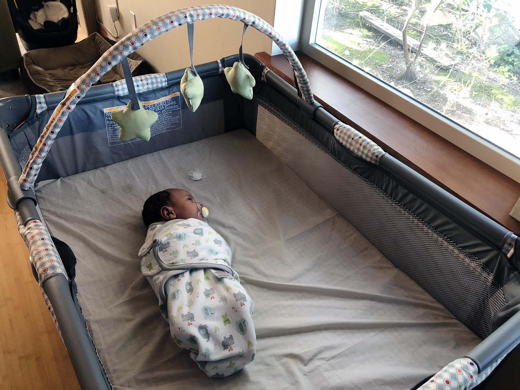 A baby lying in a cocoon staring out the window at the world