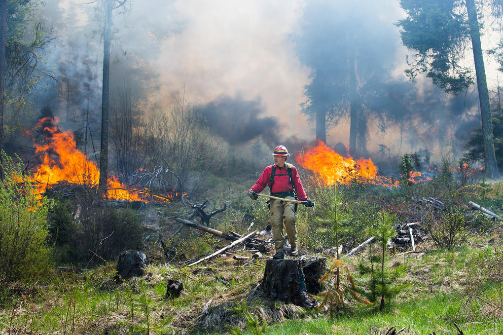 Controlled fires in a forest