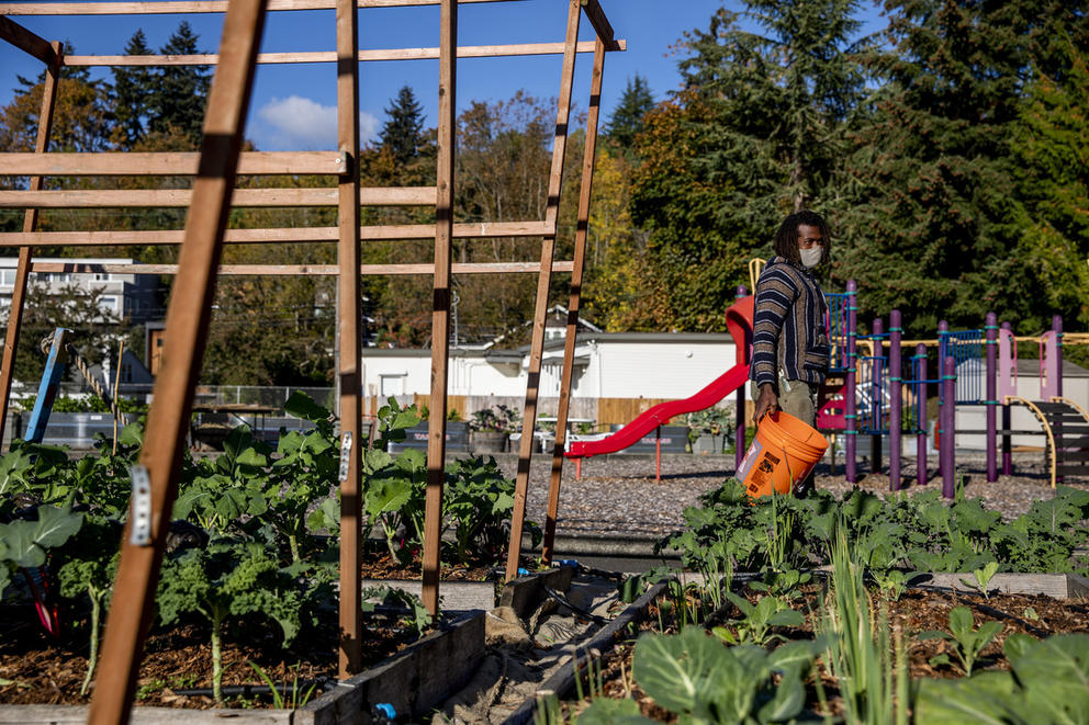a man tends a garden