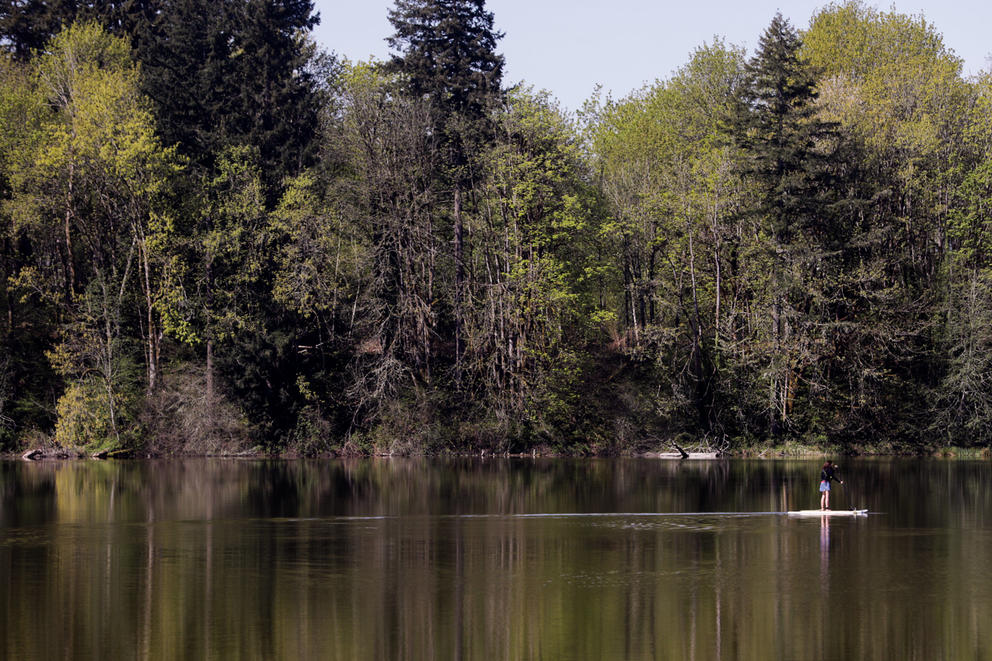 woman paddles on a paddle board across a lake with tall trees in the background 